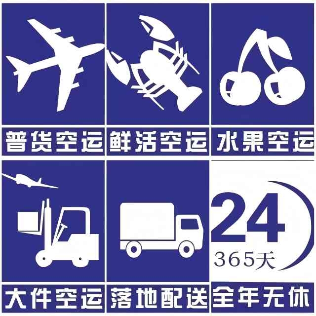 上海空运专业空运6小时航空运输服务